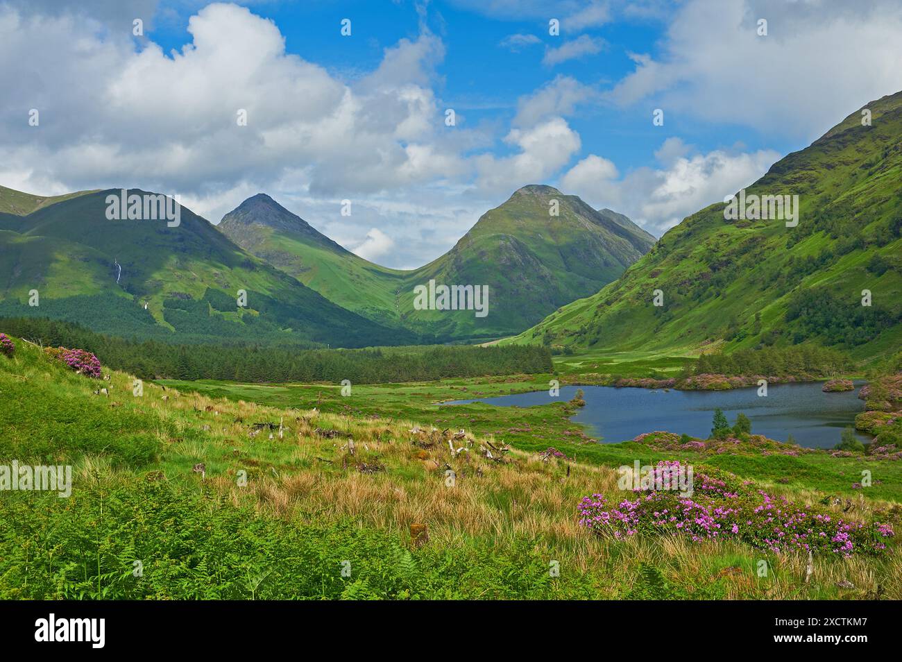 Buachaille Etive Mor und Buachaille Etive Beag mit Lochan URR in Glen Etive, Schottland Stockfoto