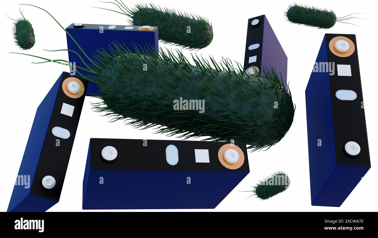 3D-Rendering von prismatischen Batterien, rechteckigen Lithium-Ionen-Phosphat-LFP-Batterien und Bakterien als Symbol für Biobatterie durch Verwendung von Bakterien zur Erzeugung Stockfoto