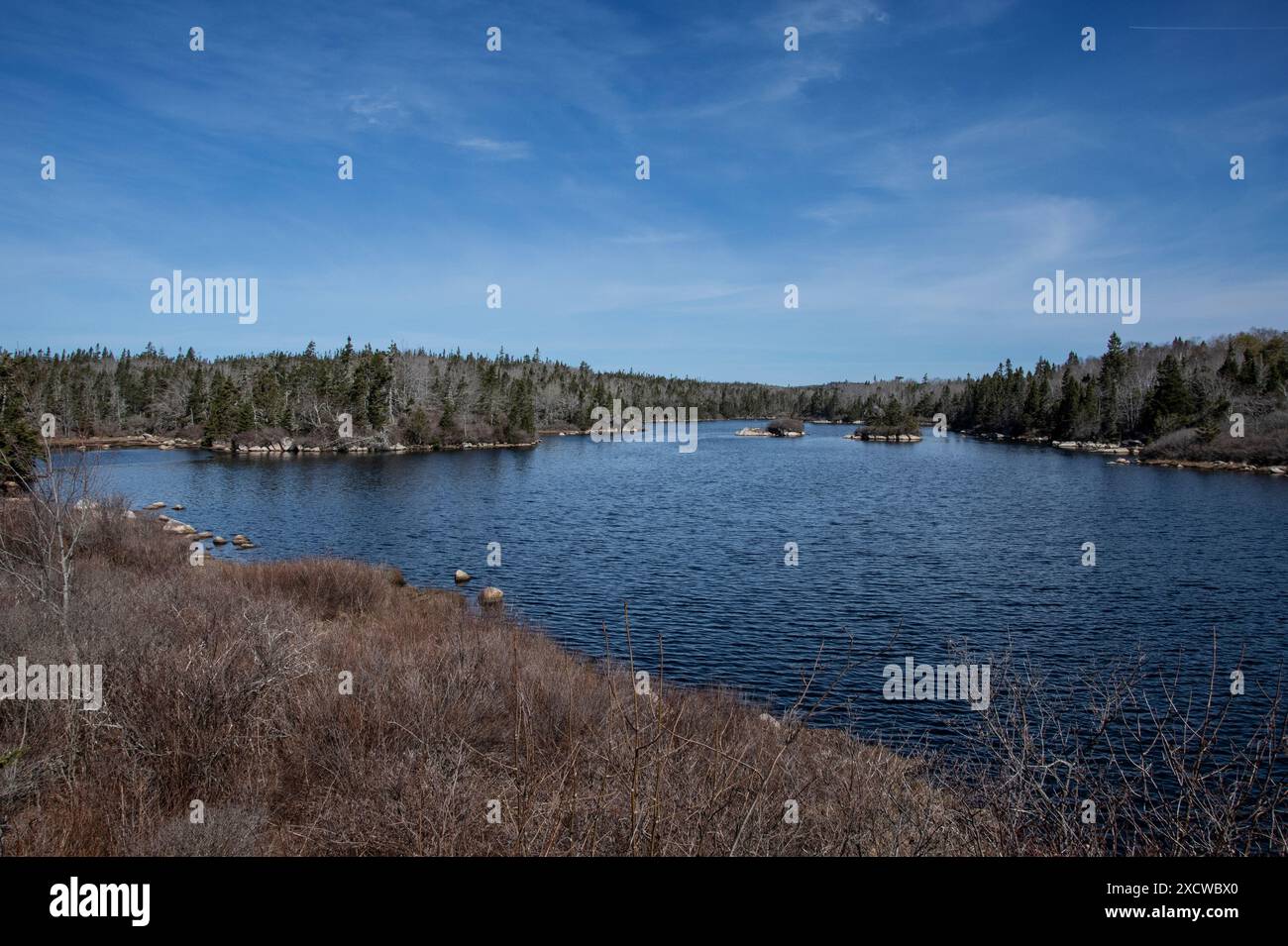 Bay in West Dover, Nova Scotia, Kanada Stockfoto