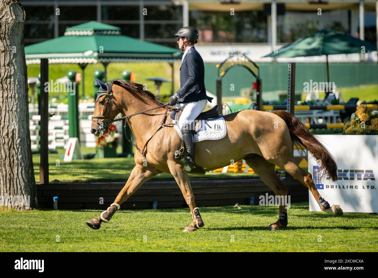 Spitzenreitersport bei Spruce Meadows in Calgary Stockfoto