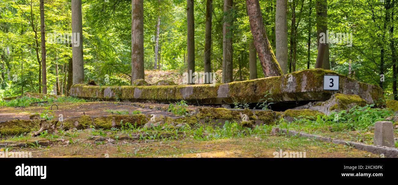 Wolf Lair in Gierloz, Polen Stockfoto