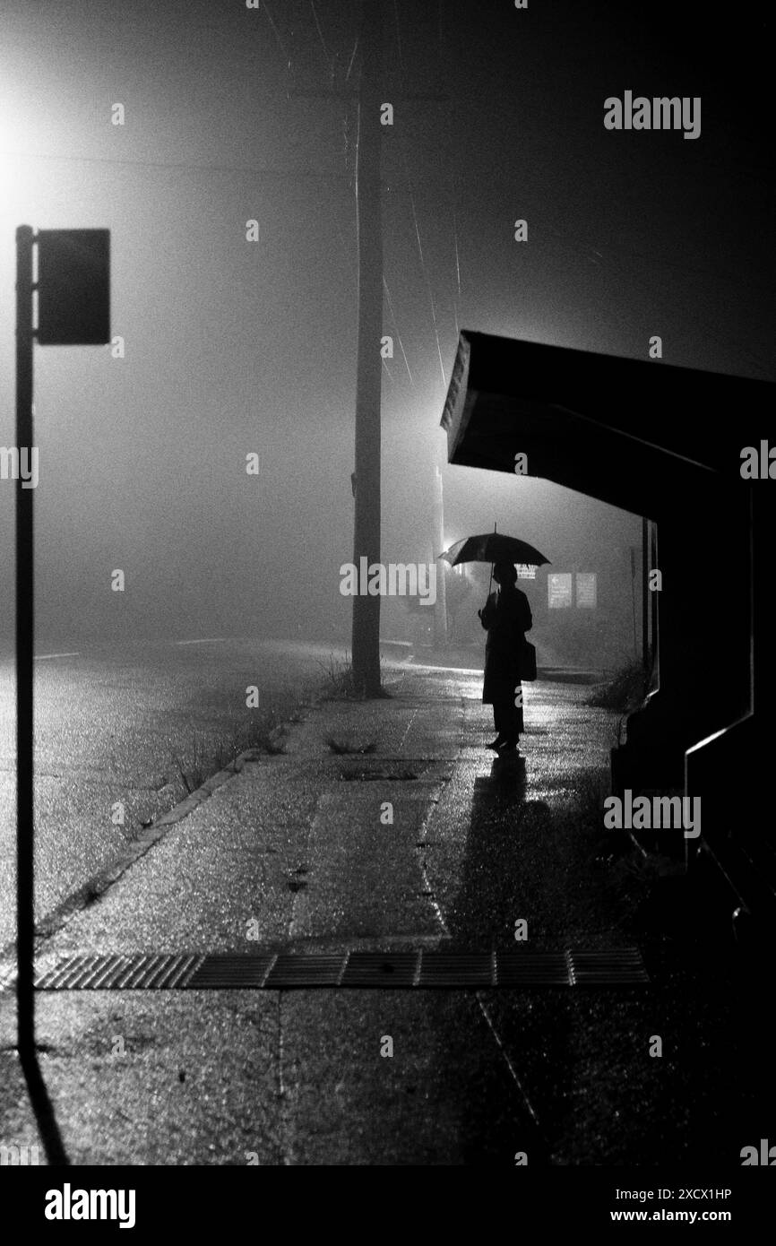 Eine Person mit Silhouette, die auf dem Bürgersteig neben einer breiten nebligen, von Bäumen gesäumten Straße in Katoomba spaziert Stockfoto