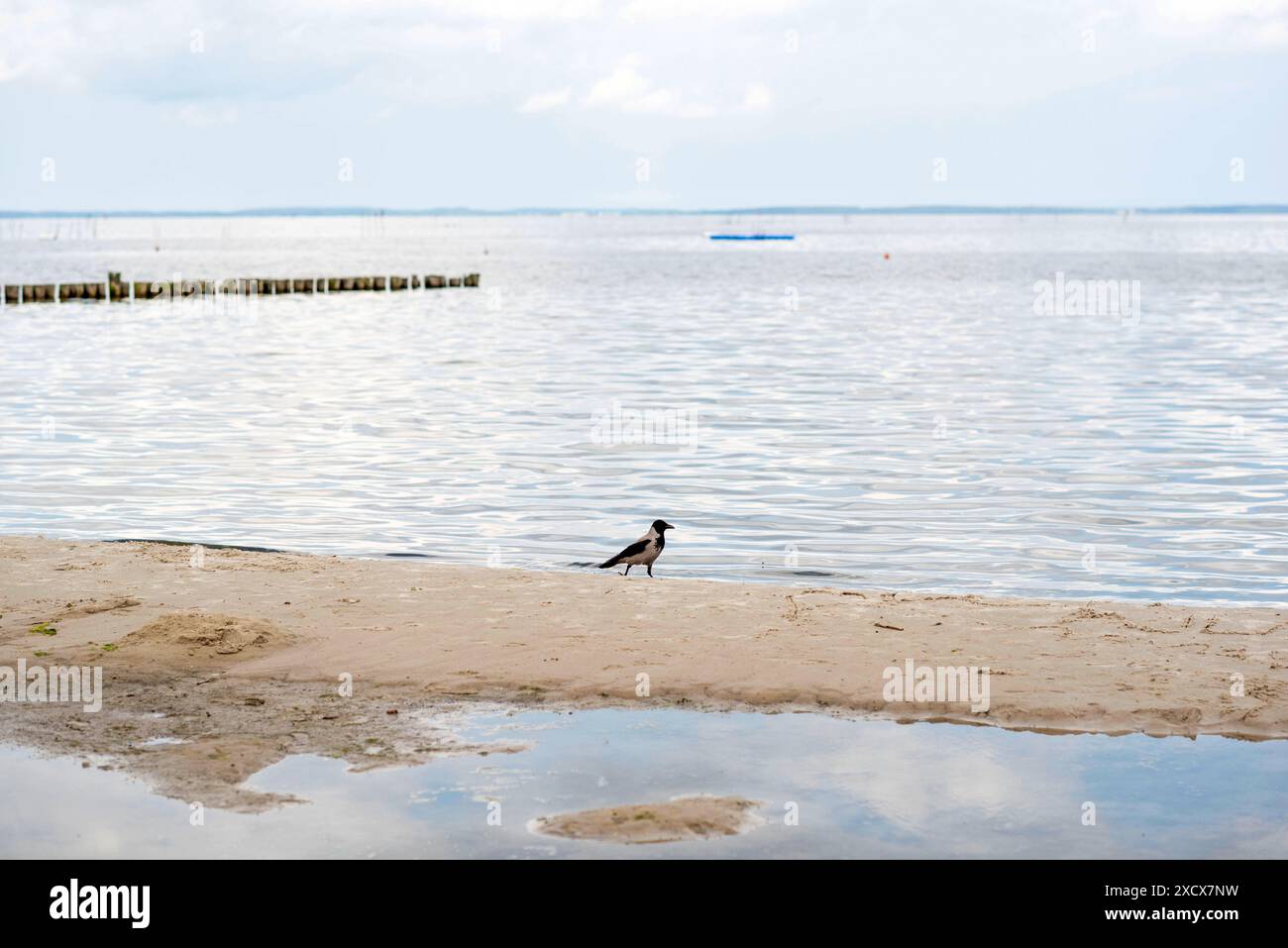 Blick auf den Badestrand am Stettiner Haff in Vorpommern nahe der polnischen Grenze. Die Region gehört noch zu den ruhigen Urlauberregionen in Mecklenburg-Vorpommern. Uckermeunde *** Blick auf den Strand am Stettiner Haff in Vorpommern nahe der polnischen Grenze die Region ist noch immer eine der ruhigen Urlaubsregionen in Mecklenburg-Vorpommern Uckermeunde Copyright: FrankxHormannx/xnordlicht Stockfoto