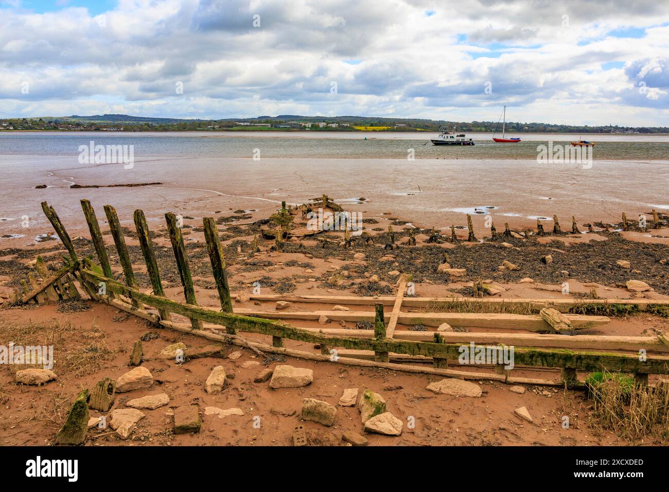 Die Rippen ehemaliger Holzschiffe ragen von den Schlammbänken des Flusses exe bei Turf Lock hervor, wo der Exeter Canal in den Fluss mündet, Devon, England, Großbritannien Stockfoto