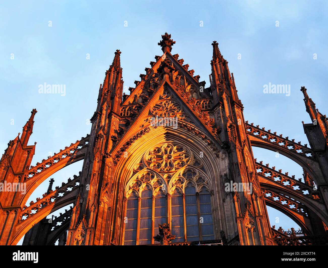 Domkirche St. Peter beleuchtet von der untergehenden Sonne in Köln Nordrhein-Westfalen Deutschland Stockfoto