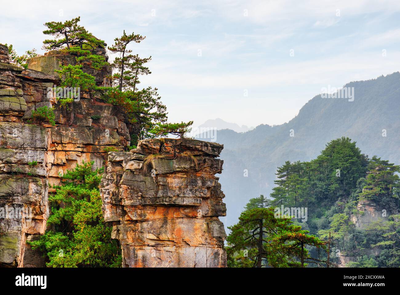 Fabelhafter Blick auf natürliche Quarzsandsteinsäulen der Tianzi Berge (Avatar Mountains) im Zhangjiajie National Forest Park, Provinz Hunan. Stockfoto