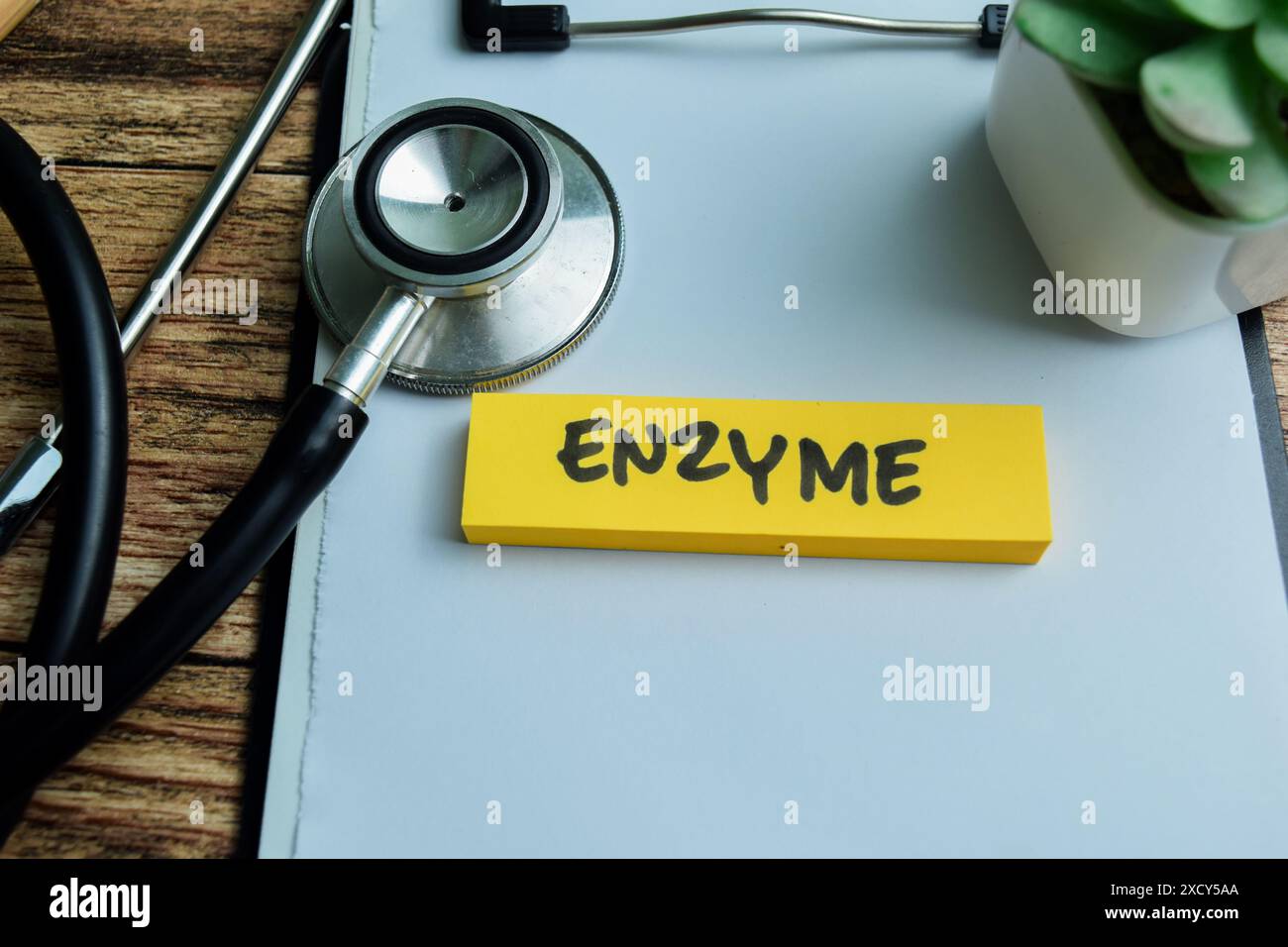 Konzept der Enzymschrift auf Haftnotizen isoliert auf Holztisch. Stockfoto
