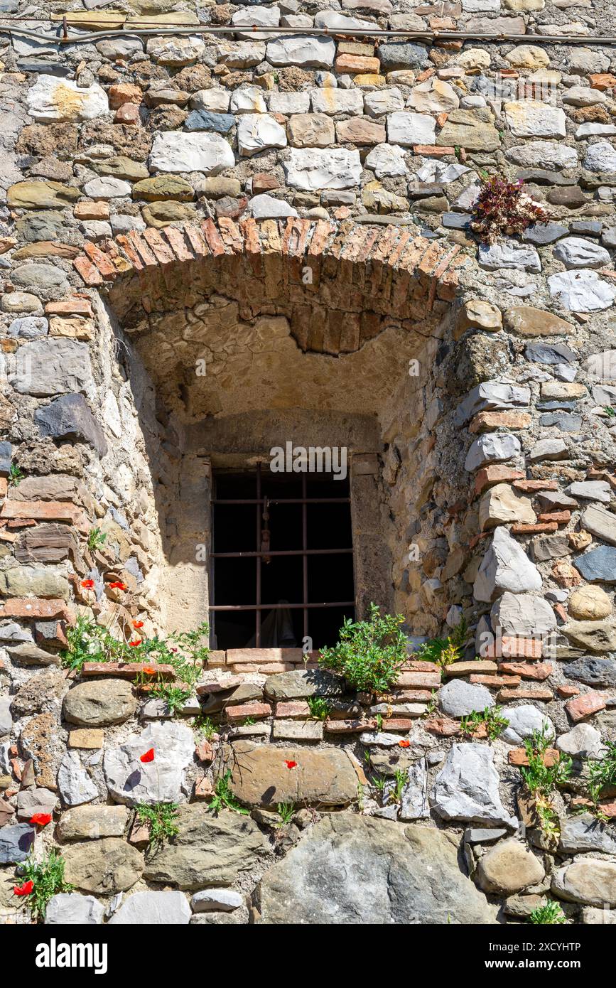 Italienisches Fenster in einem alten Gebäude mit dicken Wänden und umgeben von wilden Blumen, die aus den Rissen im Stein wachsen Stockfoto