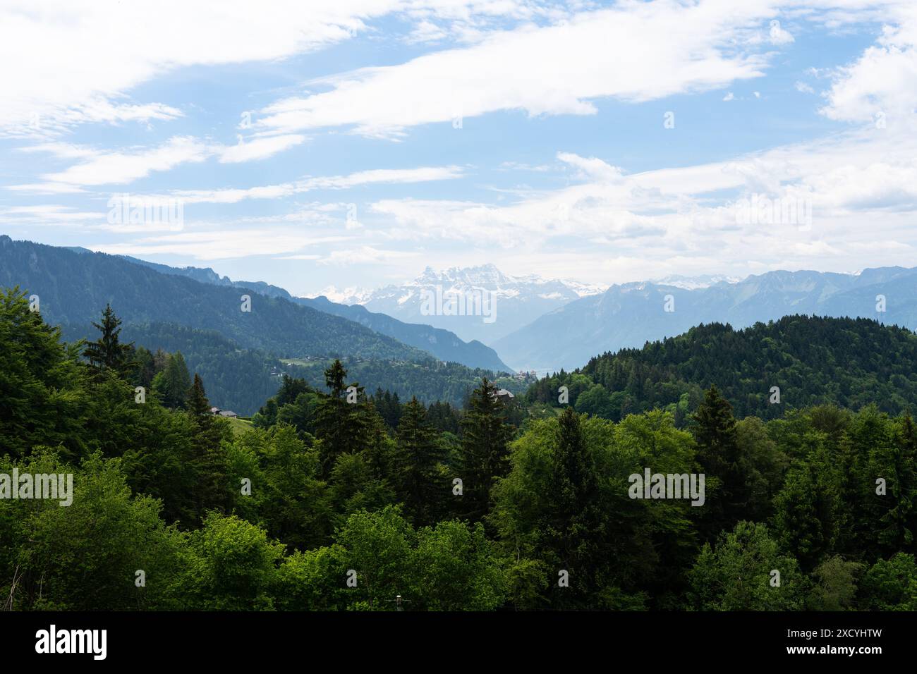 Eine wunderschöne Landschaft aus einer Bergkette mit blauem Himmel und grünem Wald. Les Avants, Schweiz Stockfoto