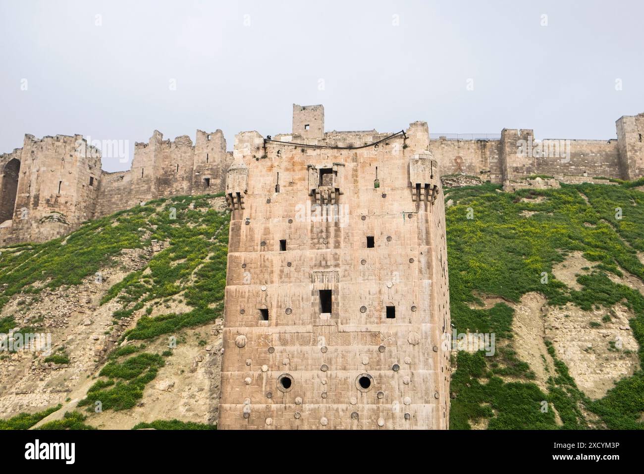 Syrien, Aleppo, die Zitadelle von Aleppo großer mittelalterlicher Festungspalast, einer der ältesten und größten Burgen der Welt Stockfoto