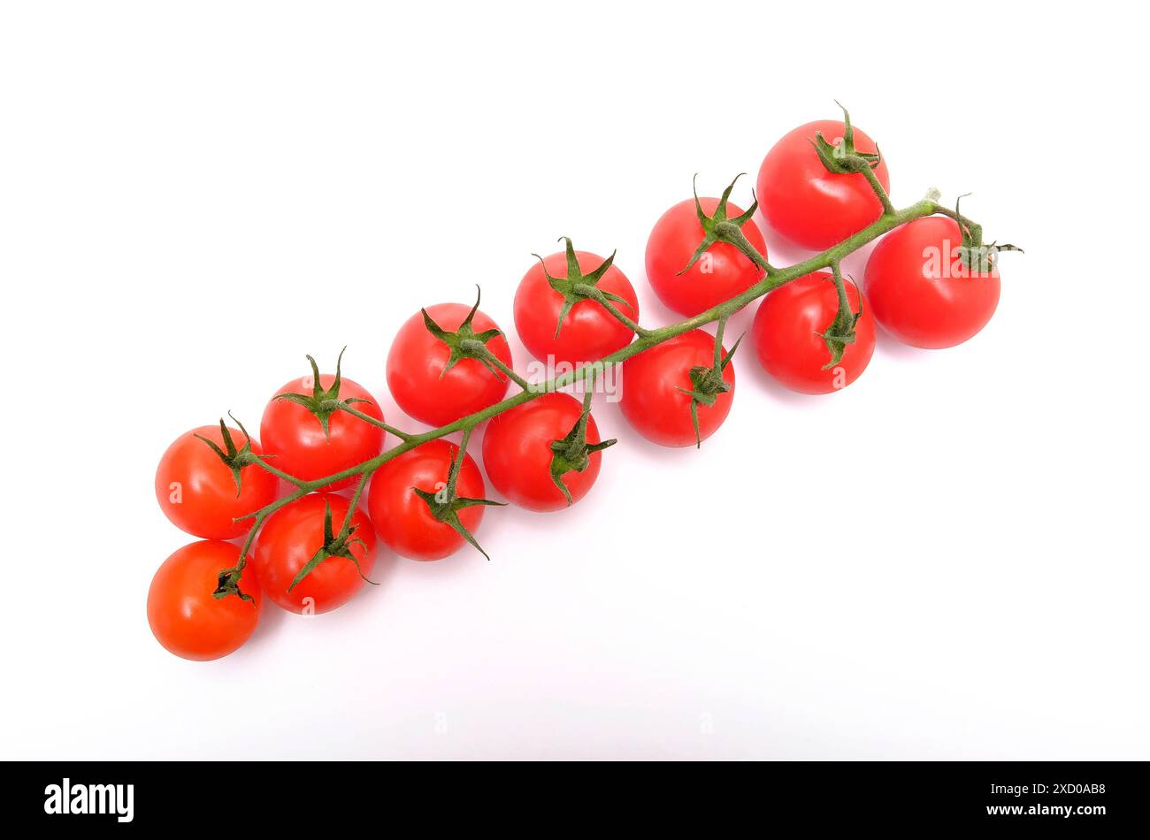 Kleine Tomaten aus roter Weinrebe auf weißem Hintergrund Stockfoto