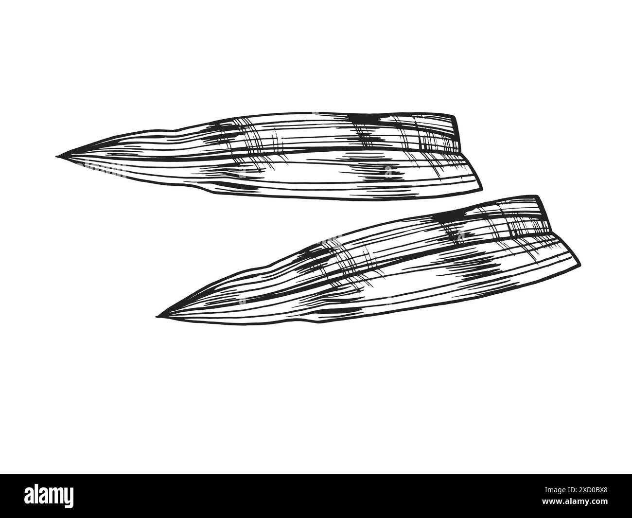 Bambus strukturierte Blätter für japanische Küche, Sushi, Sashimi, Brötchen, asiatische Dekoration, Vektor-Lebensmittel-Illustration, handgezeichnet monochrome Ske Stock Vektor