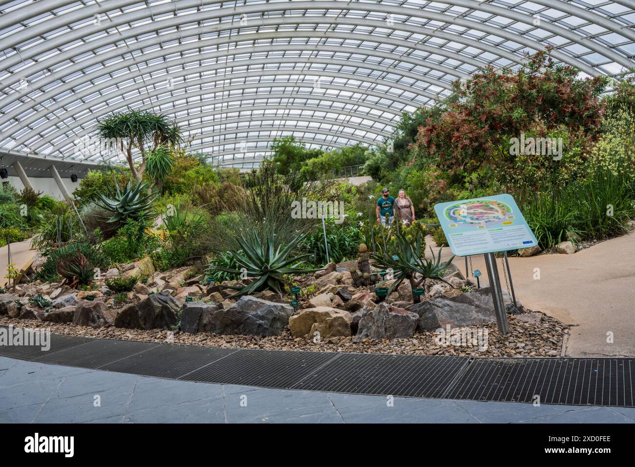 Das Gewächshaus im National Botanic Garden of Wales | Carmarthen. Stockfoto