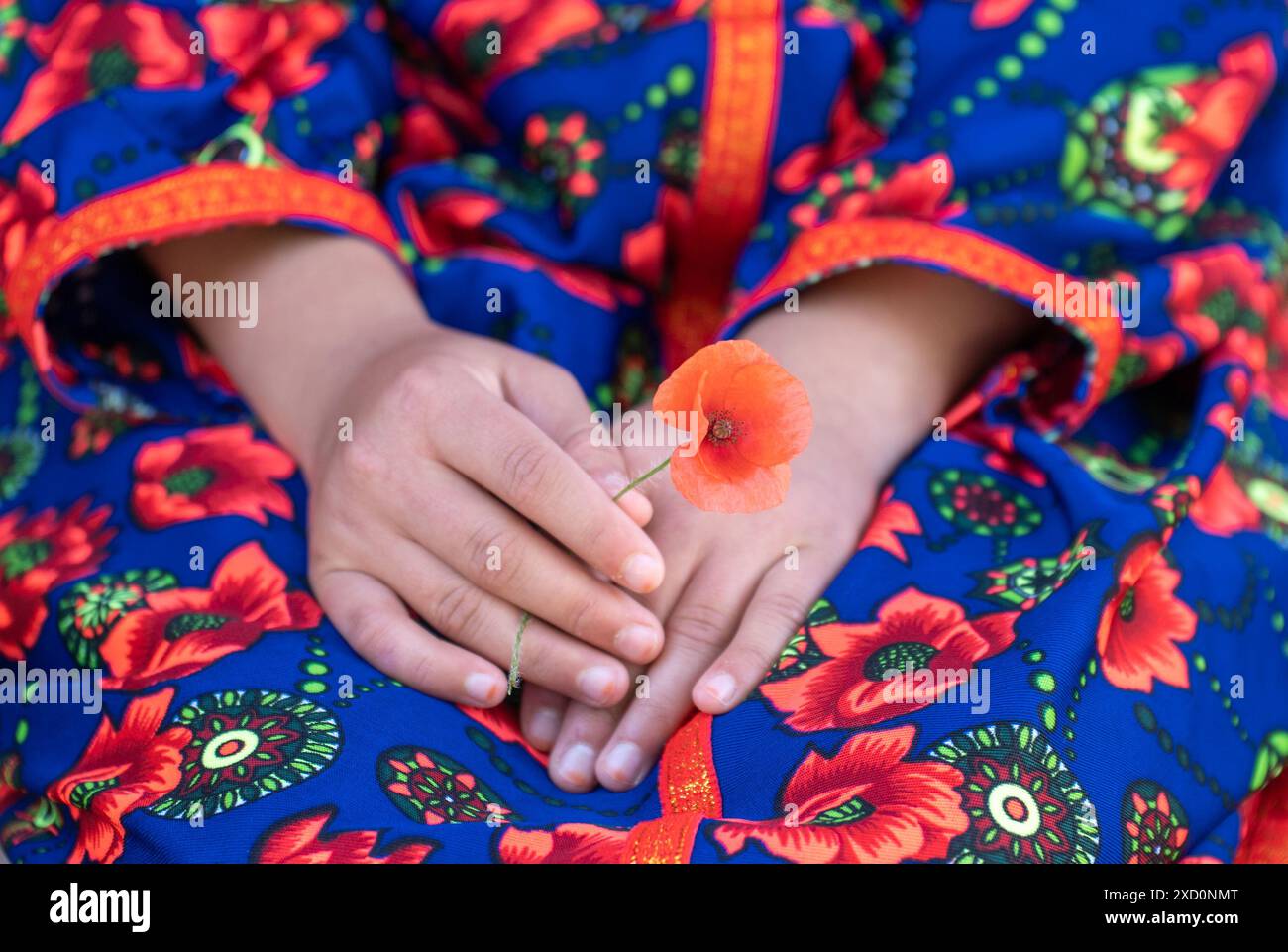 Die Hände des jungen Mädchens halten eine rote Mohnblume gegen ein buntes Yuruk-Kleid. Heile die Welt. Frieden, Konzept. Stockfoto