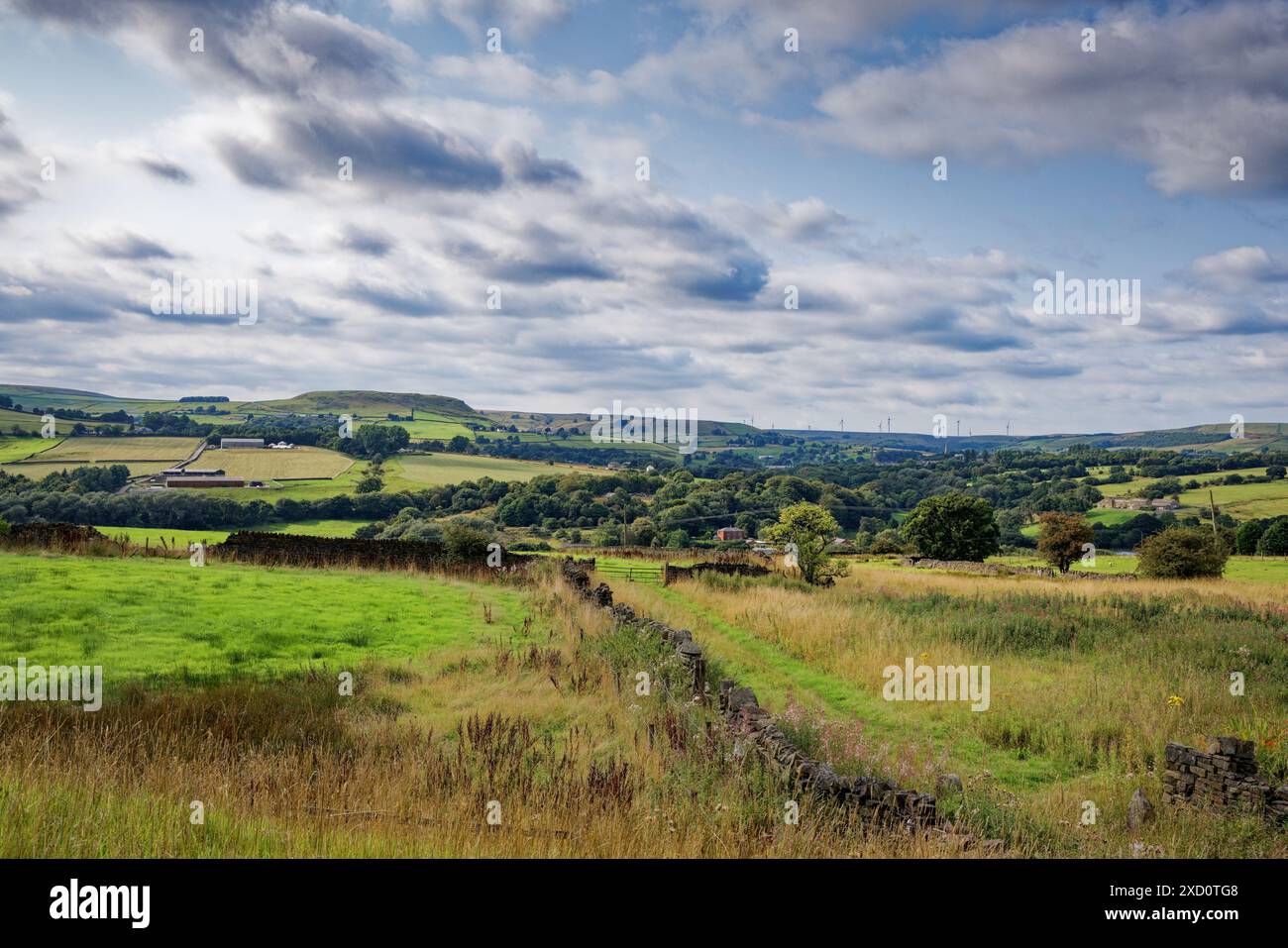 Sommerblick über das Irwell Valley bis zum Tor Hill Stockfoto