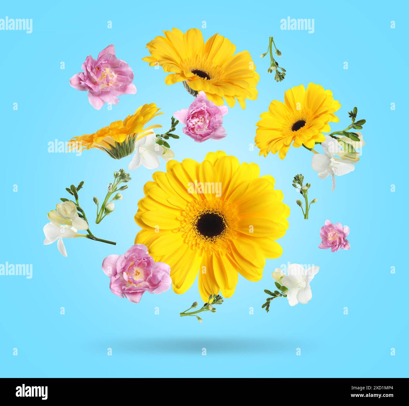 Gelbe Gerberas und andere schöne Blumen in der Luft auf hellblauem Hintergrund Stockfoto