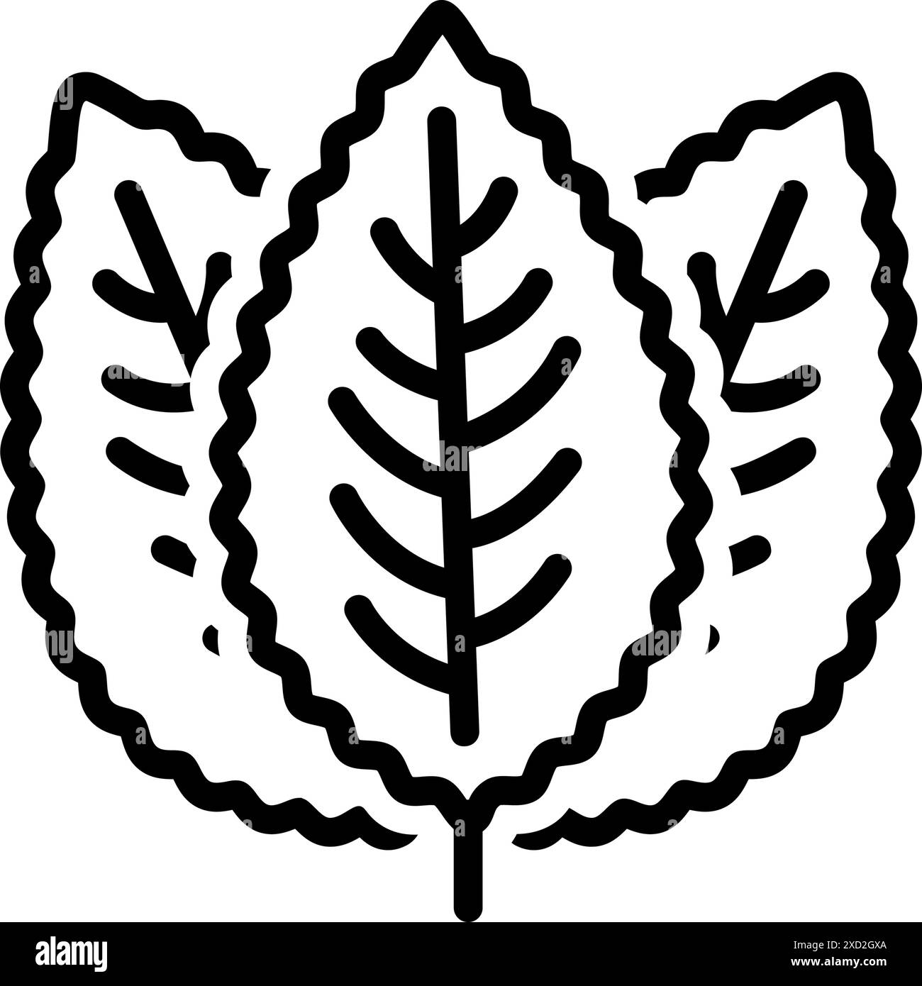 Symbol für Pfefferminze, Pfefferminze Stock Vektor