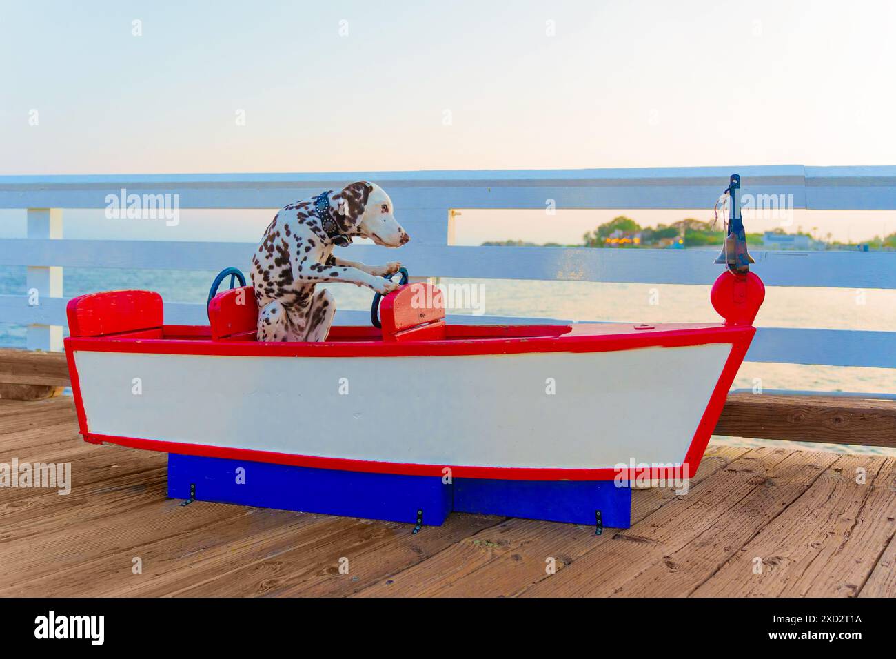 Sonnenuntergangsszene eines dalmatinischen Welpen, der in einem bunten hölzernen Boot sitzt, das auf einem hölzernen Pier installiert ist, mit Pfoten am Rad. Stockfoto