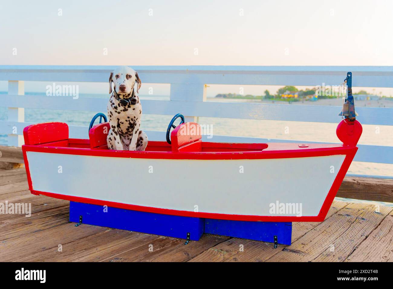 Entzückender dalmatinischer Welpe, der bei Sonnenuntergang in einem pulsierenden hölzernen Boot auf einem hölzernen Pier sitzt, mit Blick auf das ruhige Meer und eingerahmt von hölzernen Geländern Stockfoto