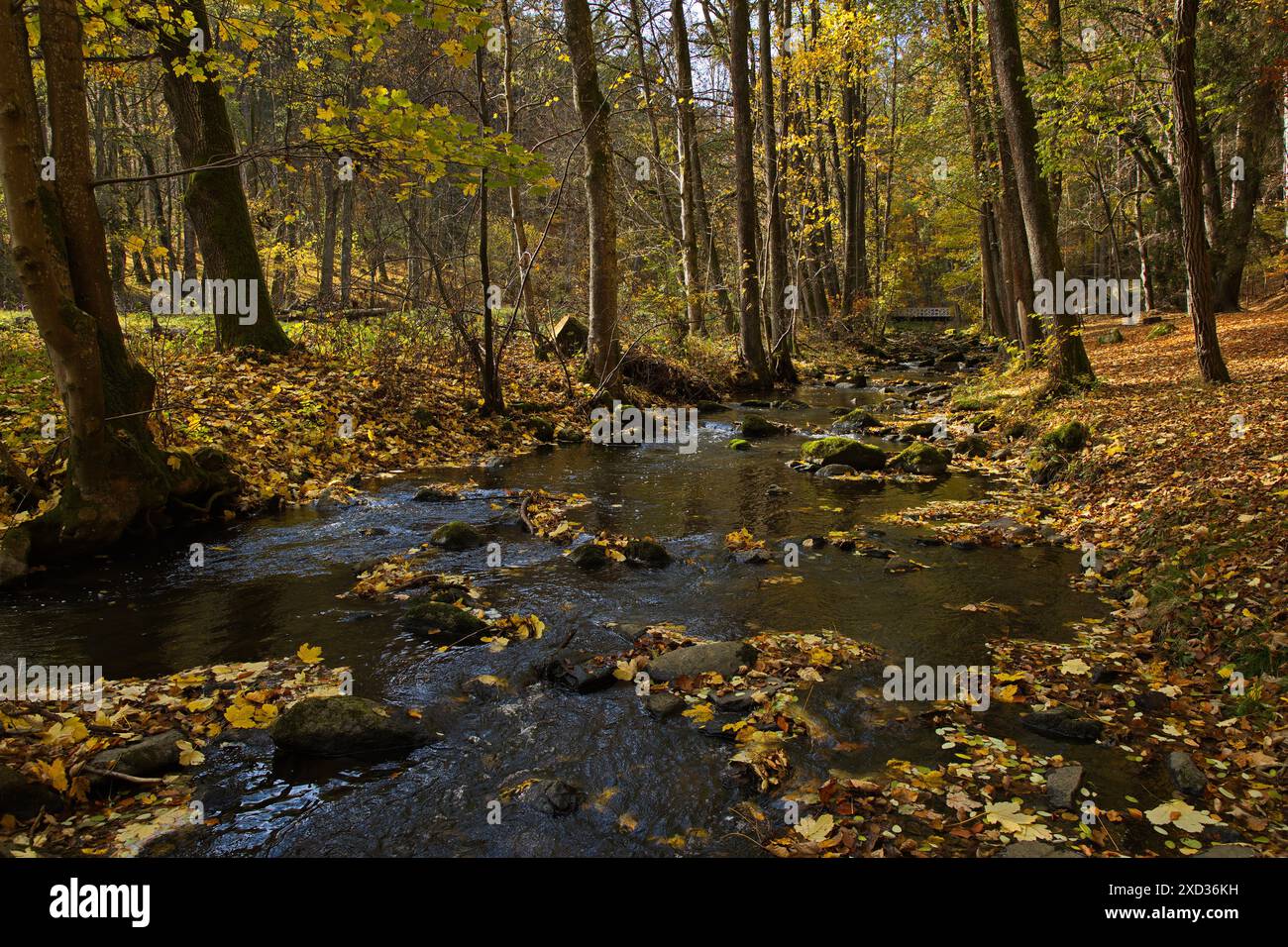 Fußgängerbrücke über den Fluss Stropnice im öffentlichen Park 'Tercino udoli' in Nove Hrady in Südböhmen, Tschechien, Europa Stockfoto