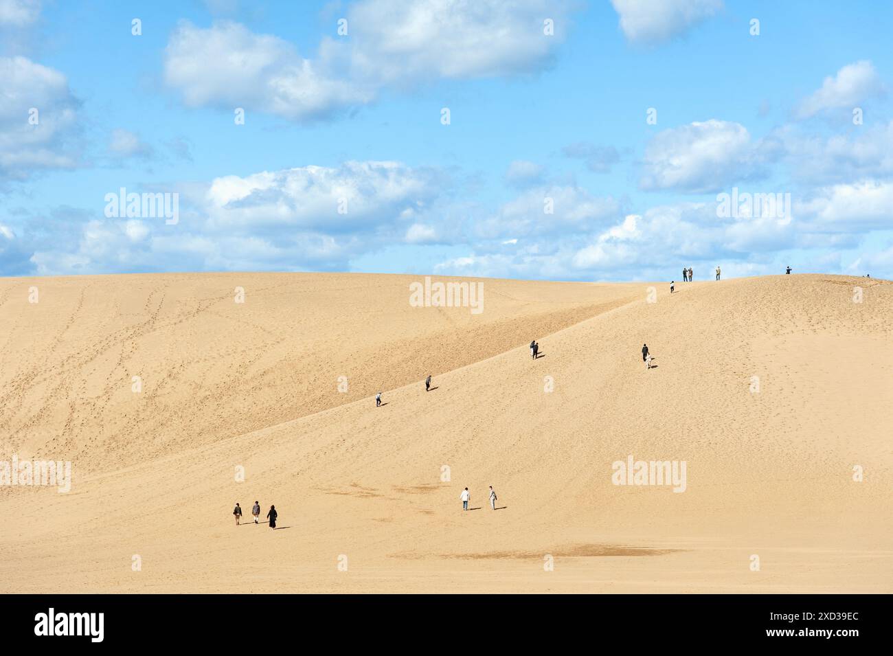 Touristen spazieren entlang der Sanddünen von Tottori in der Präfektur Tottori im Westen Japans. Stockfoto