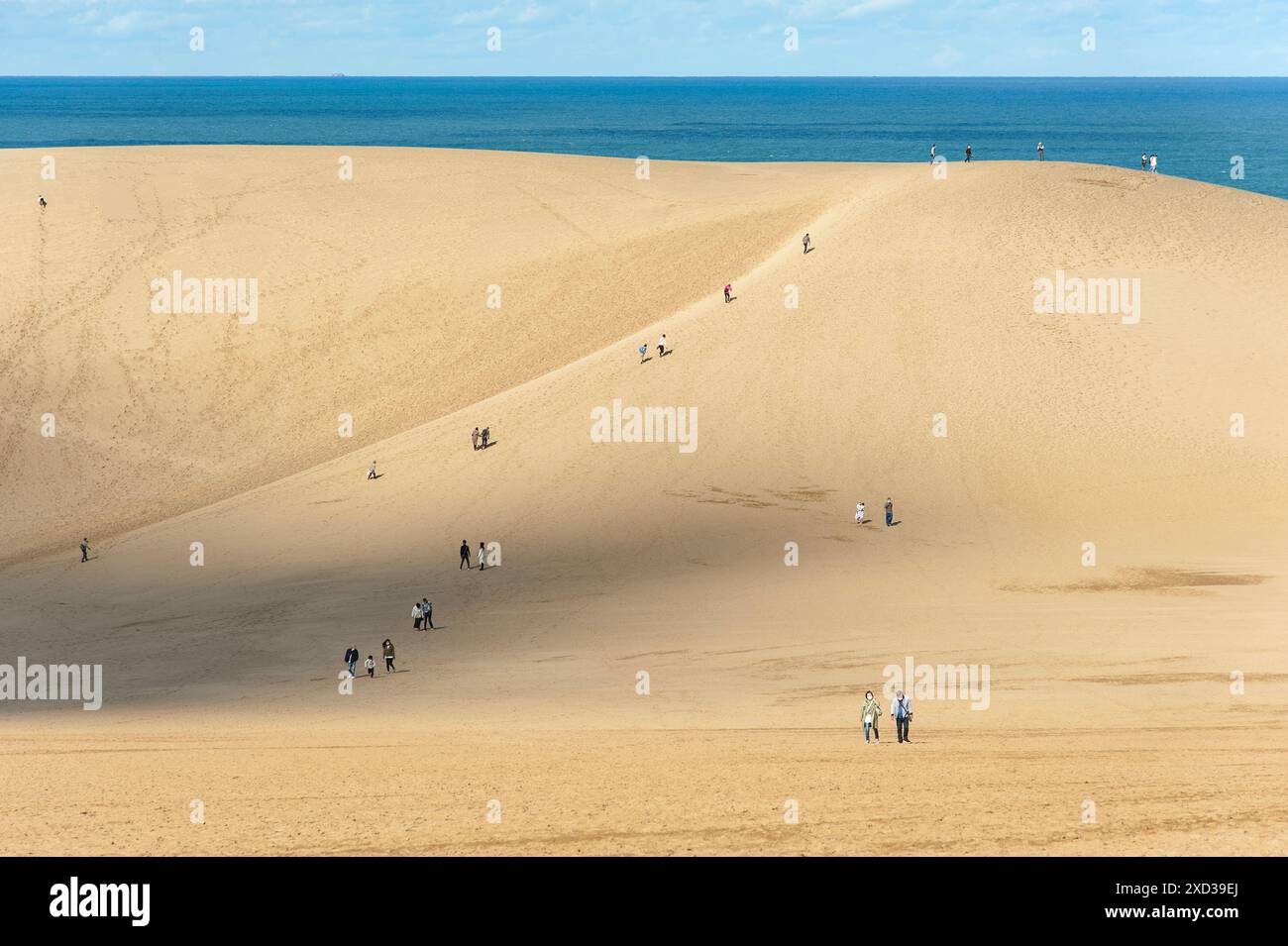 Touristen besuchen die Tottori Sanddünen vor dem Hintergrund des Japanischen Meeres. Stockfoto