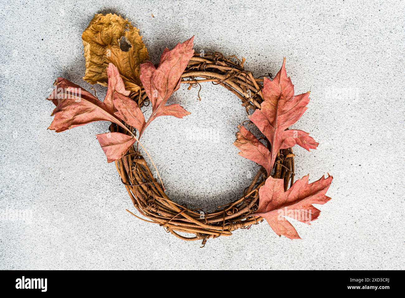 Ein lebendiger Herbstkranz aus verdrehten Zweigen und mit orangefarbenen Blättern geschmückt, auf einem strukturierten grauen Hintergrund Stockfoto