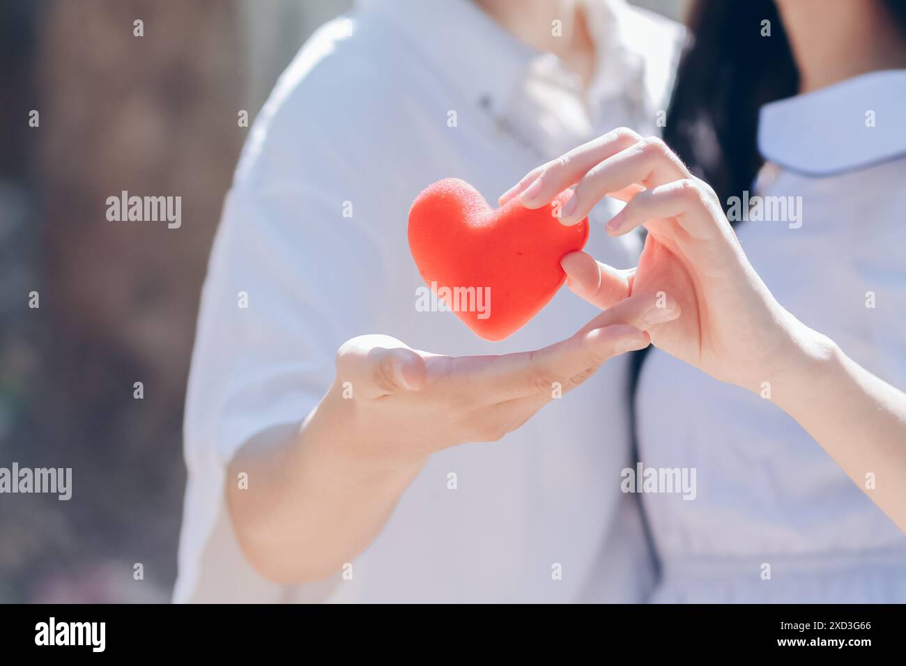 Paare zeigen zusammen herzförmige Symbole, um ihre Liebe und Freundschaft zueinander an ihrem großen Tag zu zeigen. Handgeformtes Herzsymbol für Ex Stockfoto