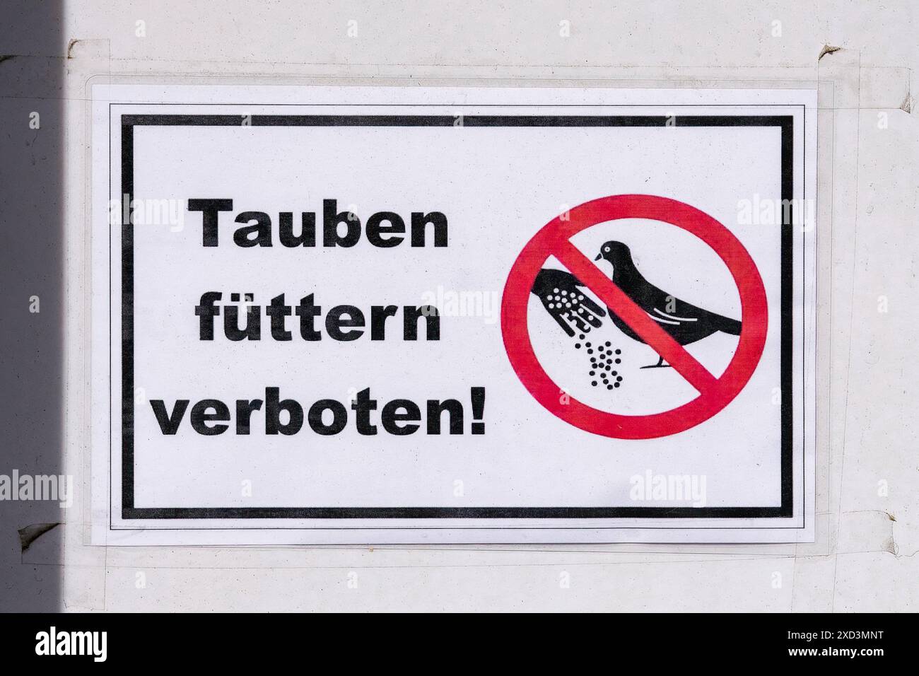 Düsseldorf 20.06.2024 Tauben Tiere Luftratten Füttern verboten Bußgeld Fütterungsverbot Verunreinigung Stadttaube Taubendreck Düsseldorf Nordrhein-Westfalen Deutschland *** Düsseldorf 20 06 2024 Tauben Tiere Luftratten Fütterungsverbot Verschmutzung Stadttaubenkot Düsseldorf Nordrhein-Westfalen Deutschland Stockfoto