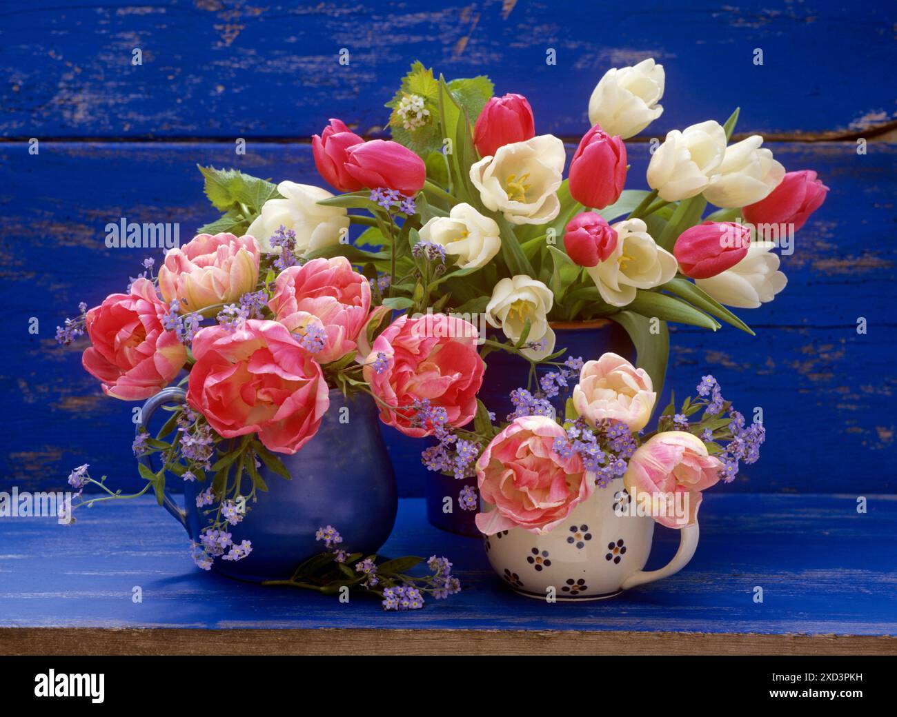 BOTANIK, ADDITIONAL-RIGHTS-CLEARANCE-INFO-NOT-AVAILABLE Stockfoto