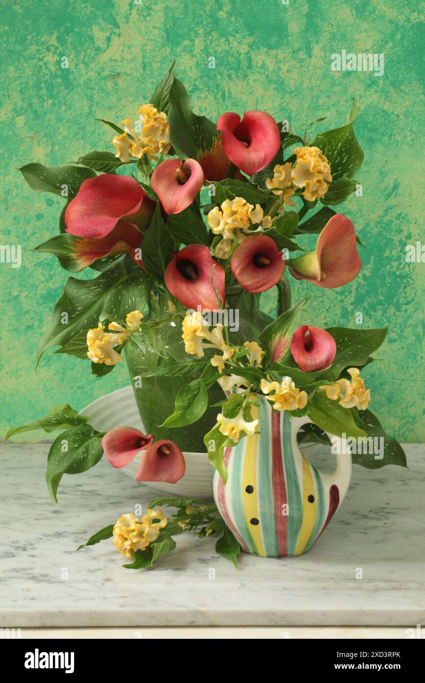Botanik, Zantedeschia und Celosia in Krügen auf einem Marmortisch mit grünem Hintergrund, ADDITIONAL-RIGHTS-CLEARANCE-INFO-NOT-AVAILABLE Stockfoto