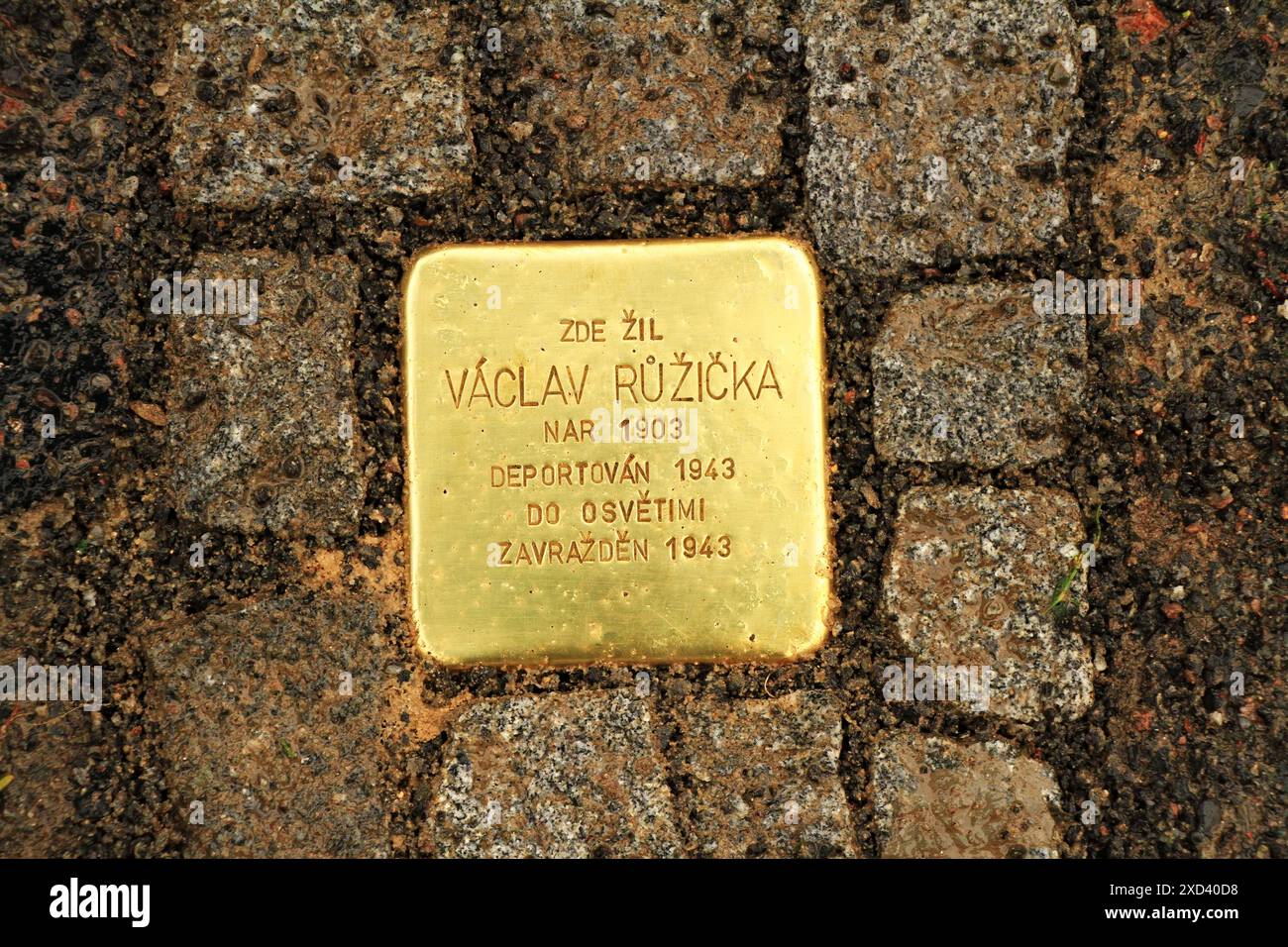 Stolpersteine memento – einzelner Pflasterstein zum Gedenken an Opfer des Nationalsozialismus im Zweiten Weltkrieg – Geburtsdaten, Deportation ins Konzentrationslager Auschwitz Stockfoto