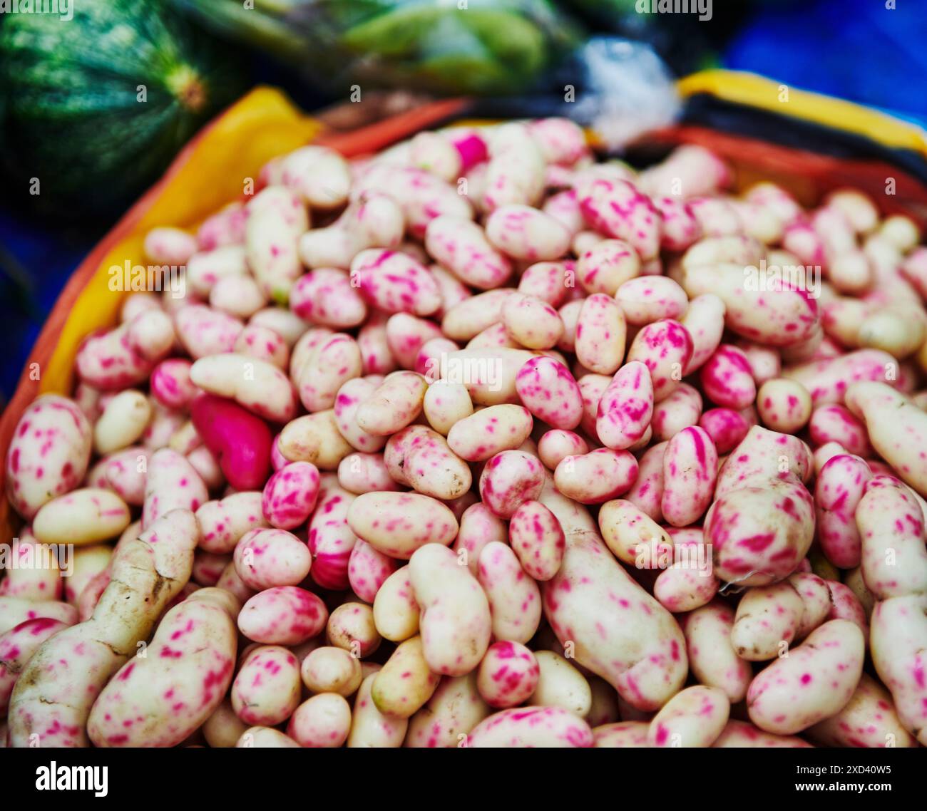 Pink Mellocos zum Verkauf auf dem Markt in Ecuador, Südamerika Stockfoto