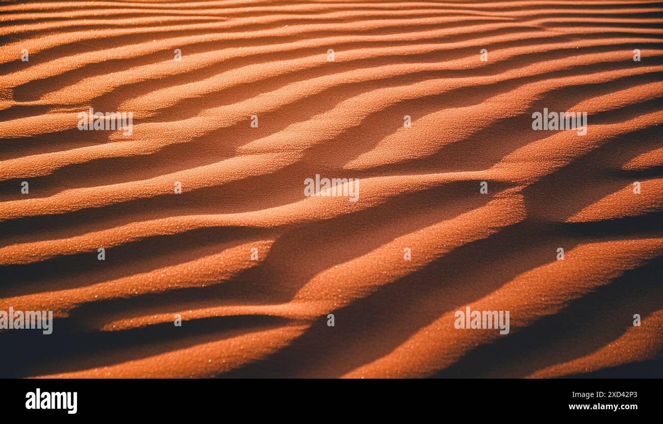 Abstraktes Muster trockener Sanddünen, Sonnenlichtschatten aus der Nähe, wellige Textur Wüstenkräuseln, Kräuselmuster, Sommermode, tropische Reisen Stockfoto