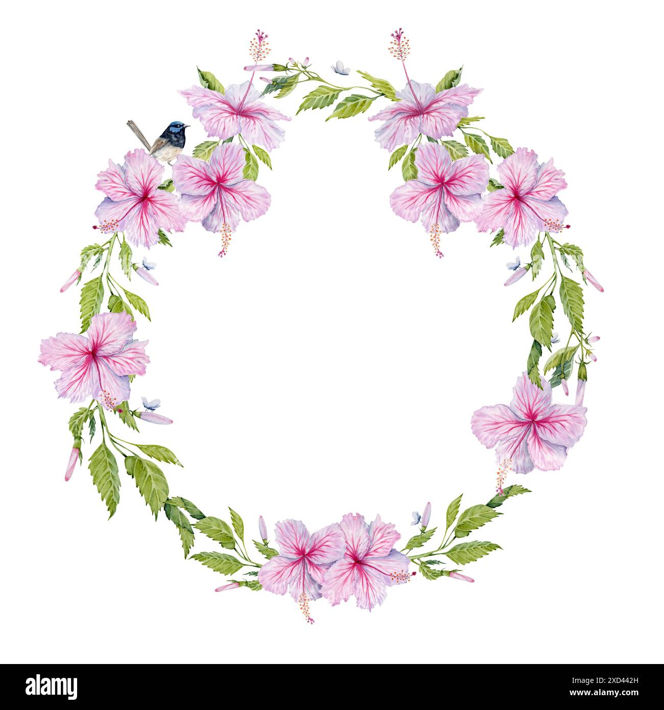 Rosafarbene Hibiskusblüten mit grünen Blättern und einem Vogelkranz. Handgezeichnete Aquarellillustration isoliert auf weißem Hintergrund. Raumdesign kopieren Stockfoto