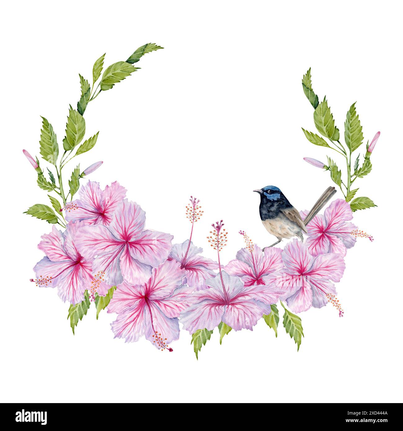Rosafarbene Hibiskusblüten mit grünen Blättern und einem Vogelkranz. Handgezeichnete Aquarellillustration isoliert auf weißem Hintergrund. Raumdesign kopieren Stockfoto