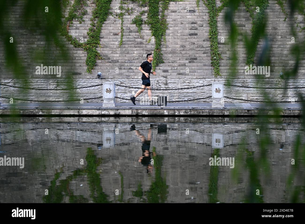 (240620) -- XI'AN, 20. Juni 2024 (Xinhua) -- Foto vom 17. Juni 2024 zeigt einen Bewohner, der in der Nähe der alten Stadtmauer in Xi'an, nordwestchinesischer Provinz Shaanxi joggt. XI'an, eine Stadt mit über 3.100 Jahren Geschichte, diente als Hauptstadt für 13 Dynastien in der chinesischen Geschichte. Es ist auch die Heimat der weltbekannten Terrakotta-Krieger, die in der Qin-Dynastie (221-207 v. Chr.) geschaffen wurden. XI'an verfügt über gut erhaltene alte Stadtmauern, die als Befestigungsanlagen für die militärische Verteidigung genutzt wurden. Die bekanntesten Stadtmauern wurden von 1370 bis 1378 während der Ming-Dynastie (1368–1644) mit einer Gesamtlänge von 13,7 Kilometern errichtet. (Xin Stockfoto