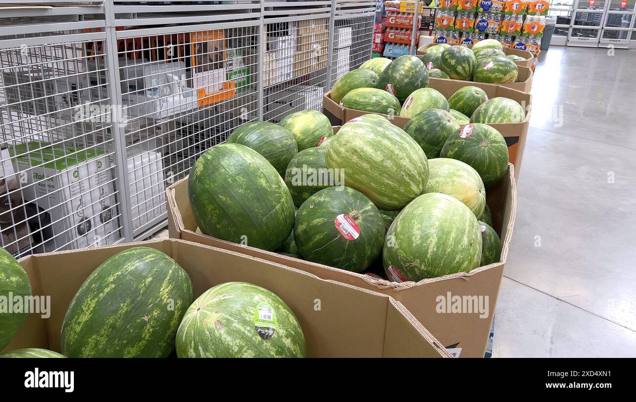 Frische Wassermelonen im Sams Club Stockfoto