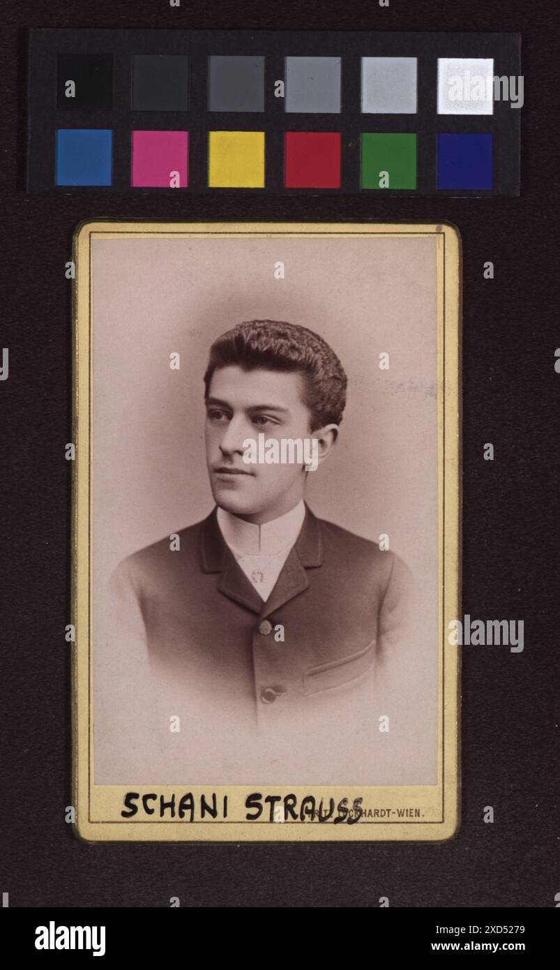Porträt von Johann Strauss II. (Dem Jüngeren), Komponisten und Dirigenten, fotografiert von Fritz Luckhardt um 1885. Das Bild zeigt Strauss in formaler Kleidung, die eine historische Figur der österreichischen Musik darstellt. Stockfoto
