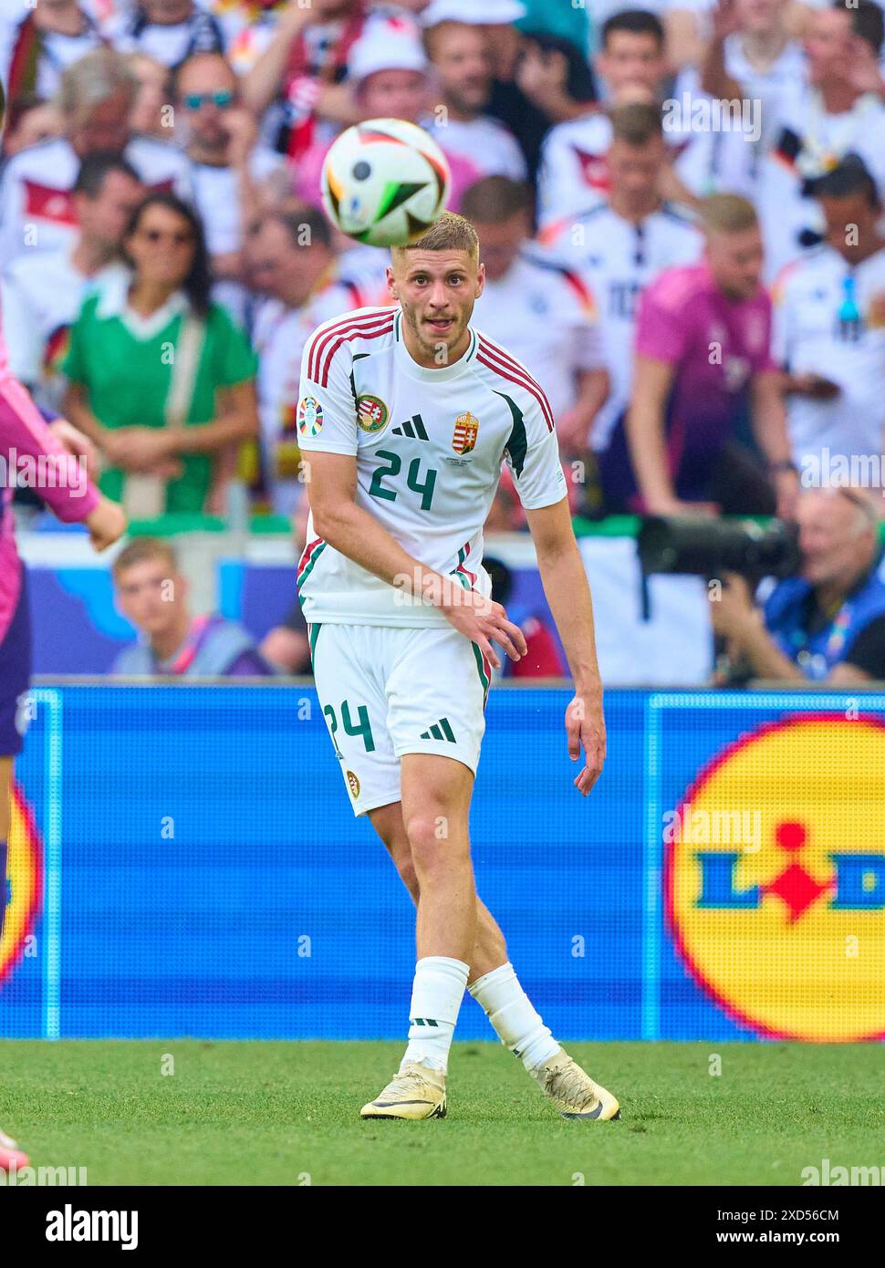 Marton Dardai, HUN 24 im Gruppenspiel DEUTSCHLAND, Ungarn. , . Am 19. Juni 2024 in Stuttgart. Fotograf: ddp Images/STAR-Images Credit: ddp Media GmbH/Alamy Live News Stockfoto