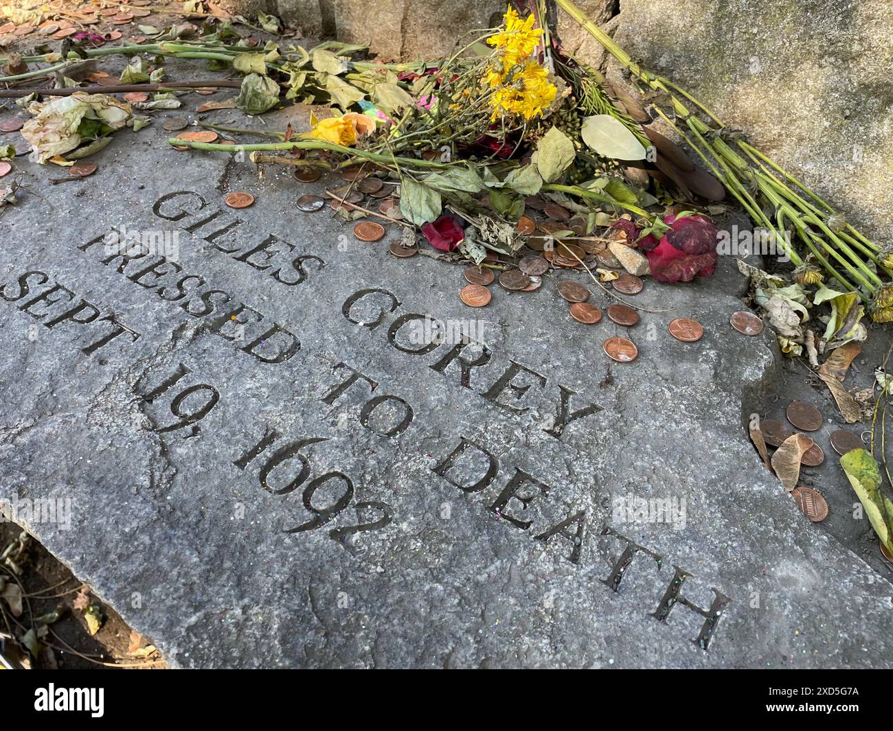 Blumen umrahmen das Steindenkmal für Giles Corey, einen Mann, der während der Hexenprozesse in Salem, Massachusetts, zu Tode gepresst wurde Stockfoto