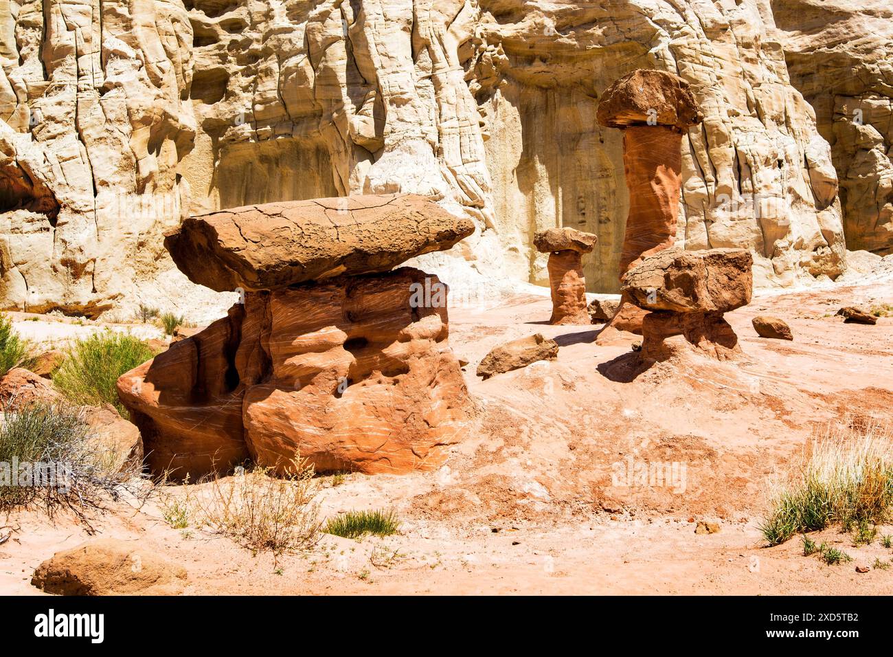 Paria Rimrocks Toadstool Hoodoos befindet sich im Grand Staircase ...