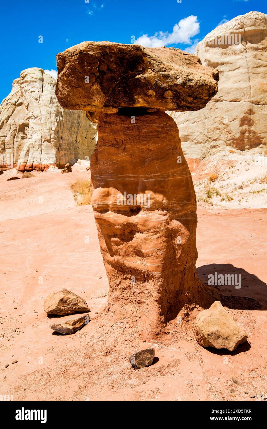 Paria Rimrocks Toadstool Hoodoos befindet sich im Grand Staircase ...
