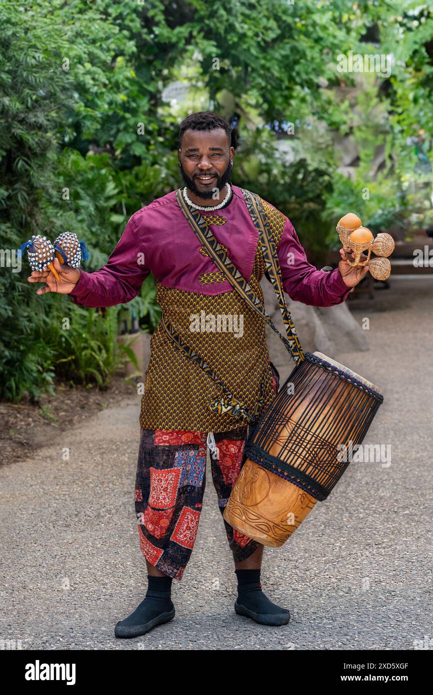 San Diego Zoo, Escondido, CA - 11.06.2024: Westafrikanischer Tänzer und Musiker. Stockfoto