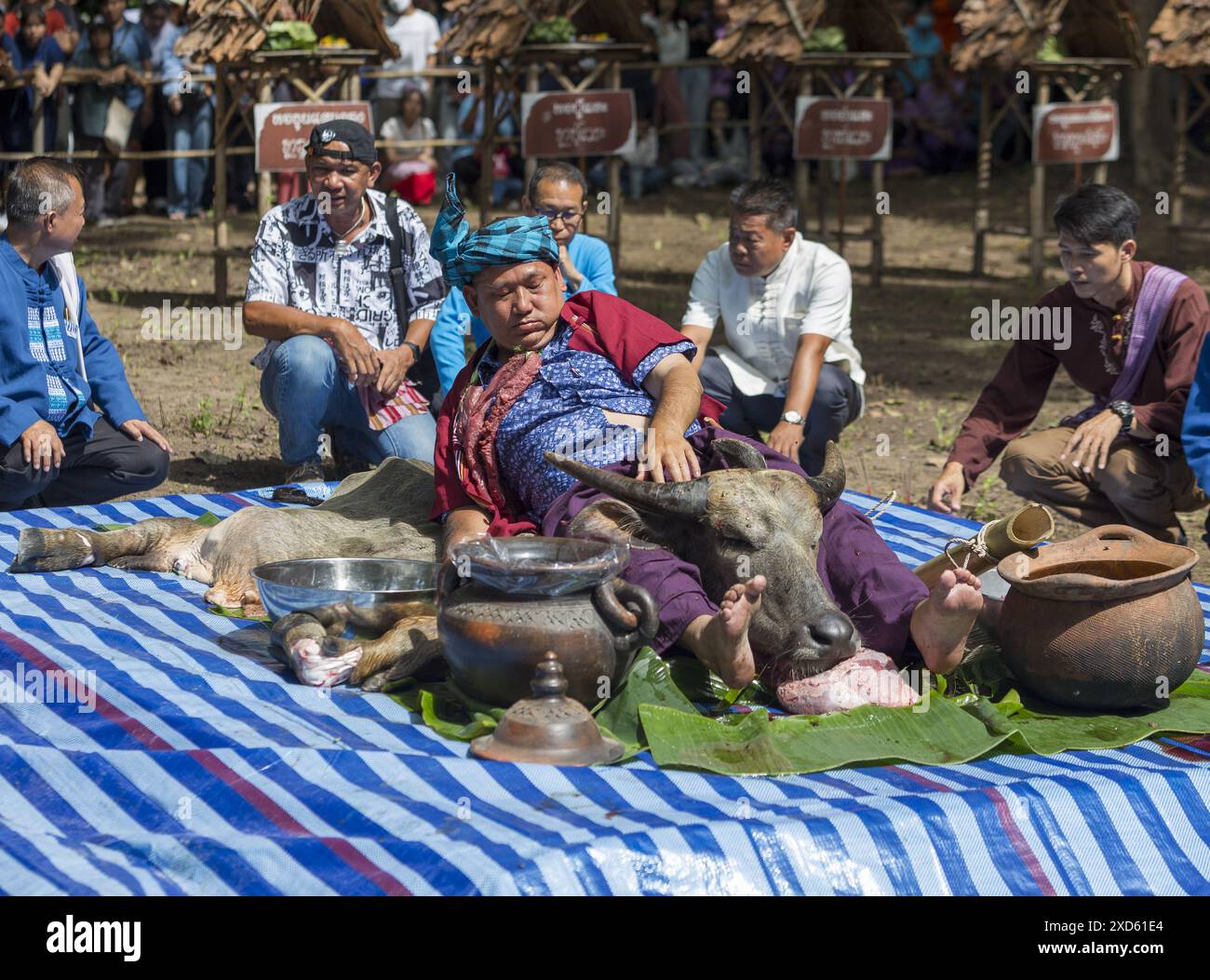 Chiang Mai, Thailand. Juni 2024. Ein von Geistern besessener Thai-Mann, (C) mit einem Büffelkopf während des Festivals gesehen. Das Festival ist einzigartig und wird nicht oft von Außenstehenden beobachtet, sondern wird jährlich in den Ausläufern des Doi Kham Mountain veranstaltet, um zwei alten Riesengeister, Pu SAE und Ya SAE, zu ehren. Quelle: SOPA Images Limited/Alamy Live News Stockfoto