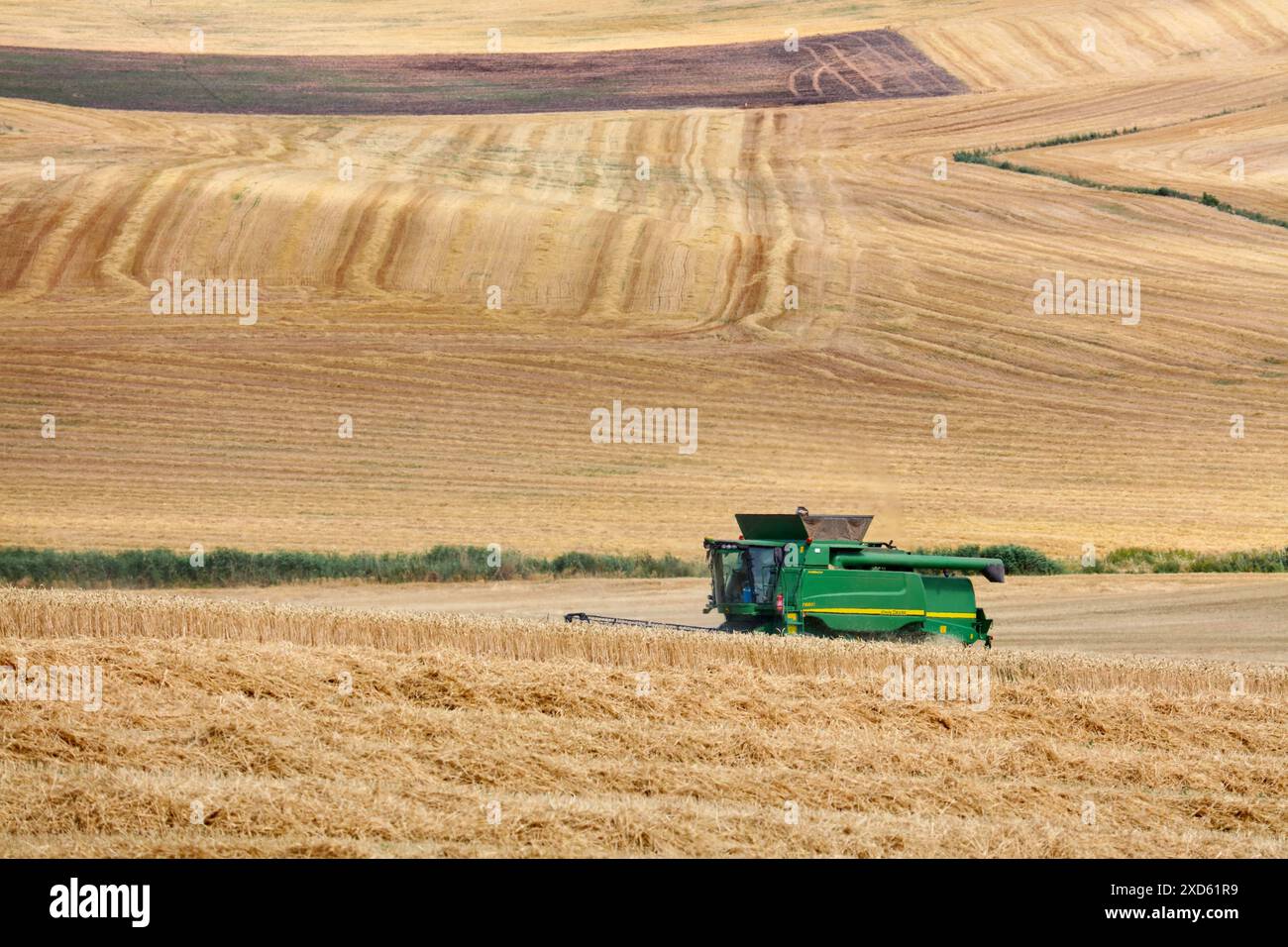 Mähdrescher auf Weizen ´Learza´ Anwesen in der Nähe von Estella, Navarra, Spanien Stockfoto