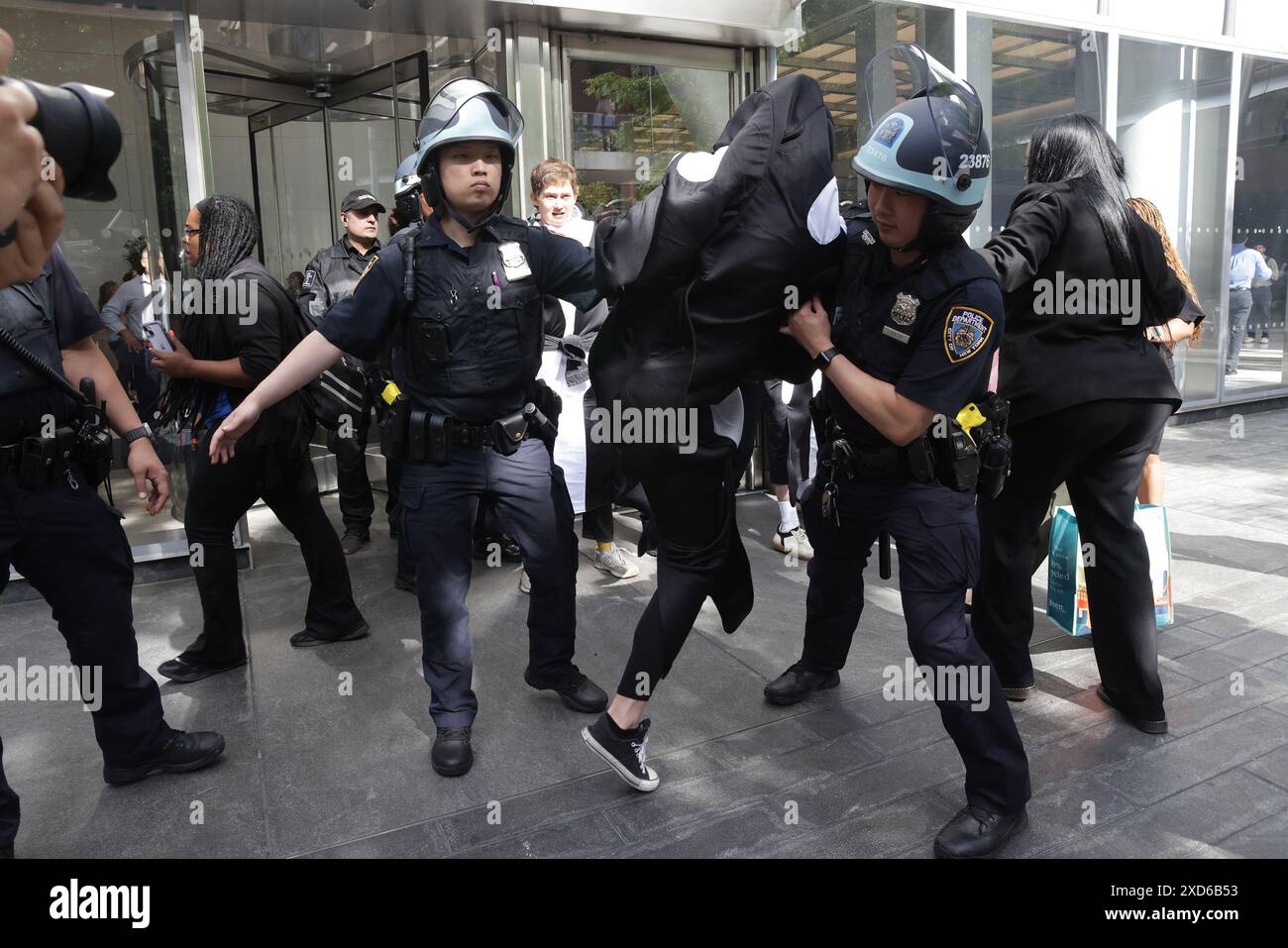 New York, Usa. Juni 2024. Umweltaktivisten, die als Orcas verkleidet sind, werden während der Kundgebung vom NYPD verhaftet. Die Aktionen im Sommer der Hitze haben begonnen und die Proteste werden von Stop the Money Pipeline and Extinction Rebellion geführt. Die Demonstranten kämpften für den Klimawandel und das Bewusstsein für die Schäden an fossilen Brennstoffen auf dem Planeten, die von Unternehmen wie der Citibank finanziert werden. Quelle: SOPA Images Limited/Alamy Live News Stockfoto