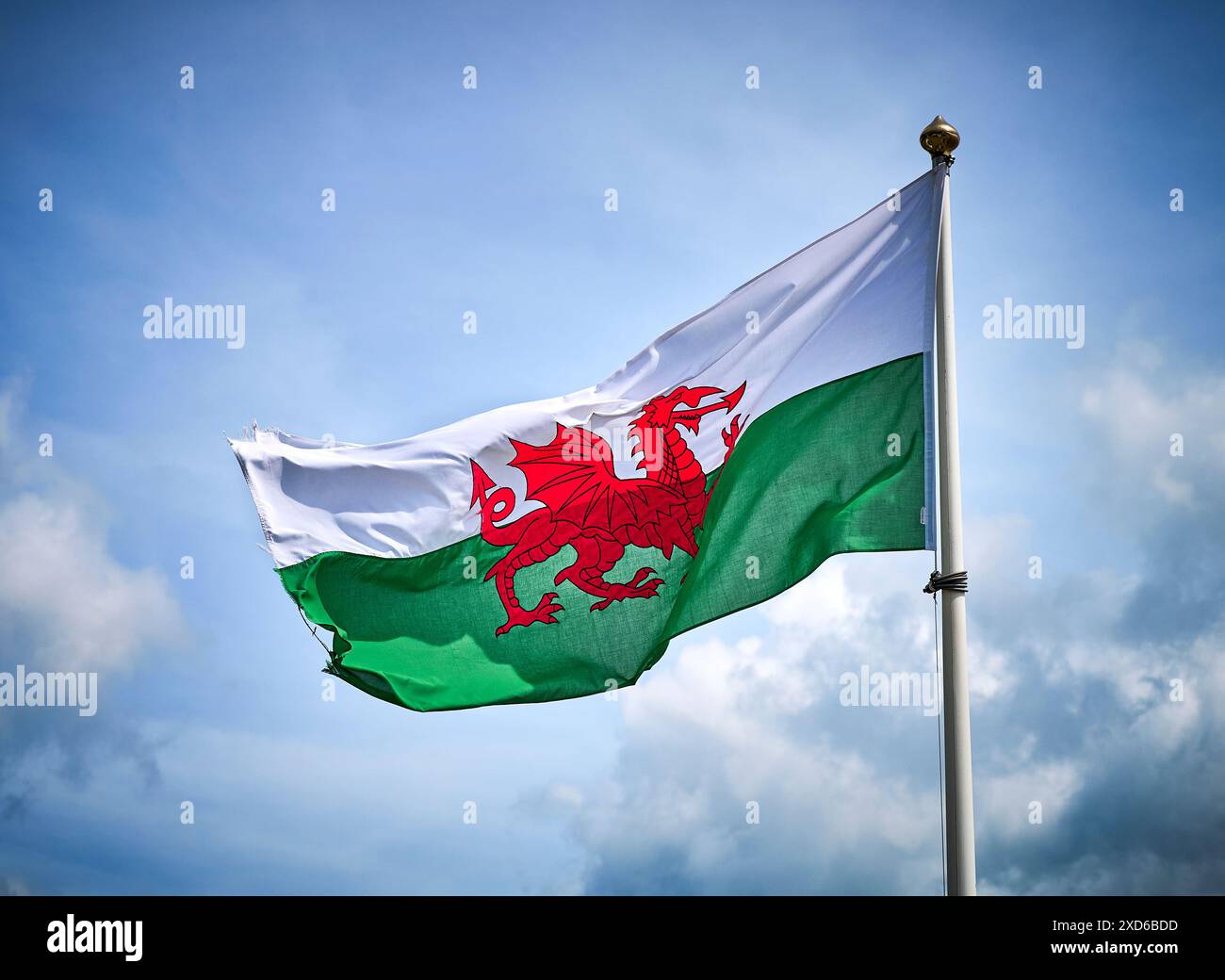 Die walisische Flagge flattert in der Brise gegen einen blauen Himmel Stockfoto