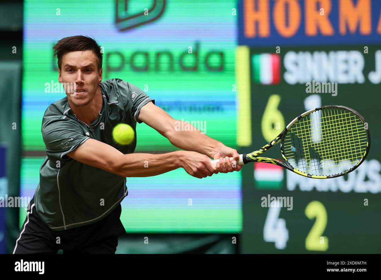 Halle Westf, Westfalen, Deutschland. Juni 2024. Fabian Marozsan (HUN) kehrt 31 mit Rückhand zurück. TERRA WORTMANN OPEN, ATP500 - Herren Tennis (Bild: © Mathias Schulz/ZUMA Press Wire) NUR REDAKTIONELLE VERWENDUNG! Nicht für kommerzielle ZWECKE! Stockfoto