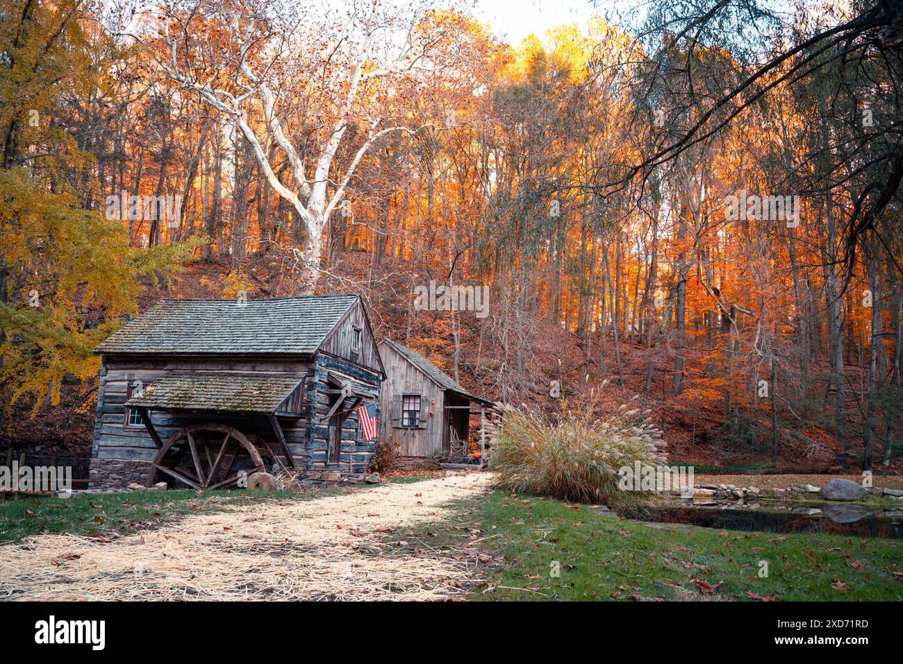 Cuttalossa Scheunenfabrik in Bucks County Pennsylvania mit farbenfrohen Herbstlaub. Stockfoto
